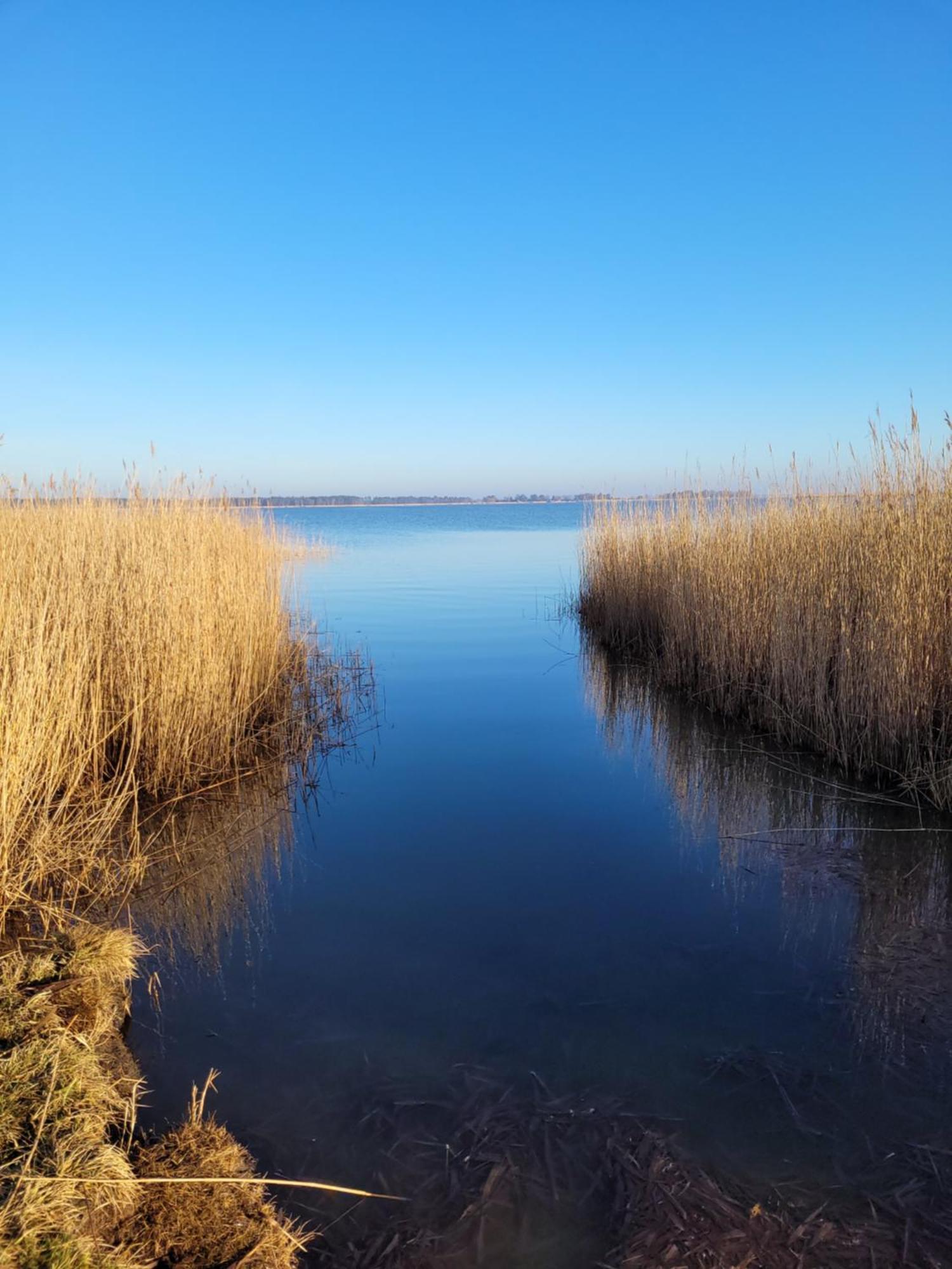 Urlaub Unterm Reetdach Auf Dem Darss Βίλα Fuhlendorf  Εξωτερικό φωτογραφία